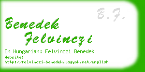 benedek felvinczi business card